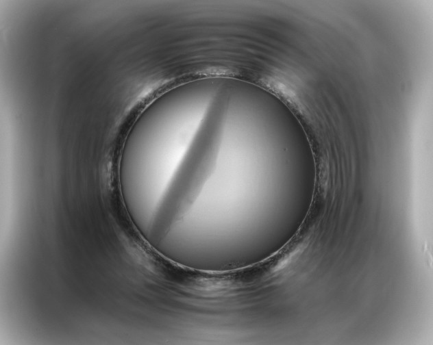 X0000086940351200704301141