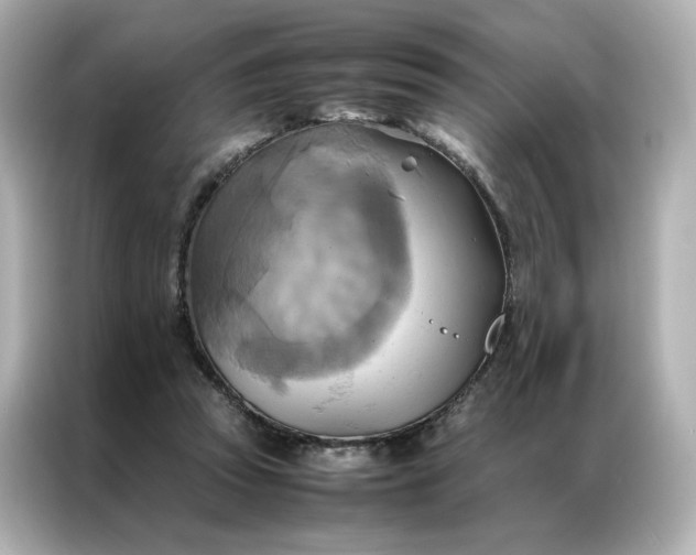 X0000086940353200704301142