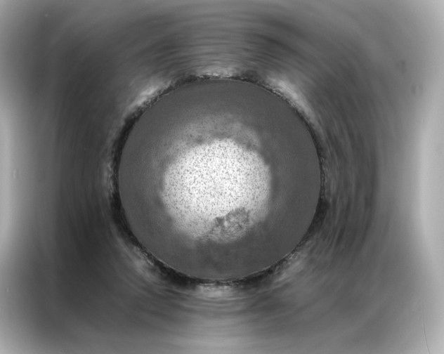 X0000086940354200704301142