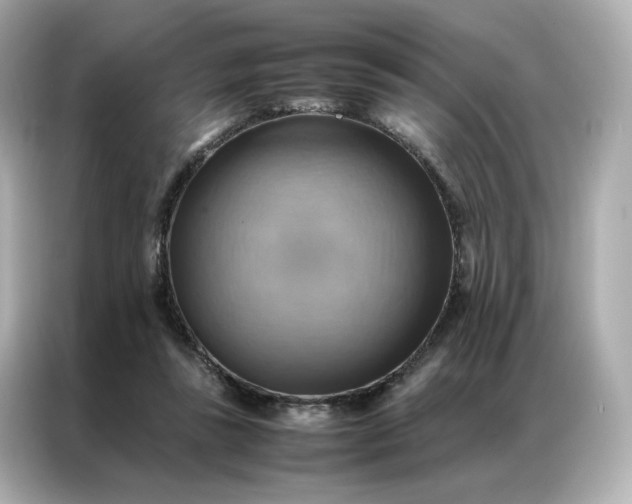 X0000086940355200704301142