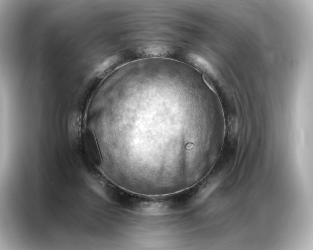 X0000086940356200704301142