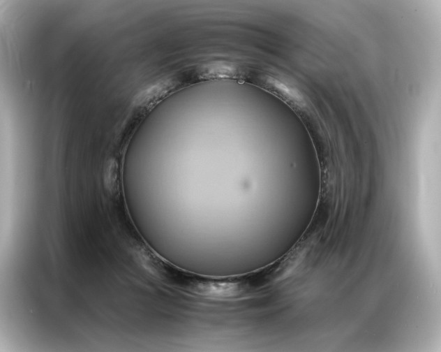 X0000086940361200704301142