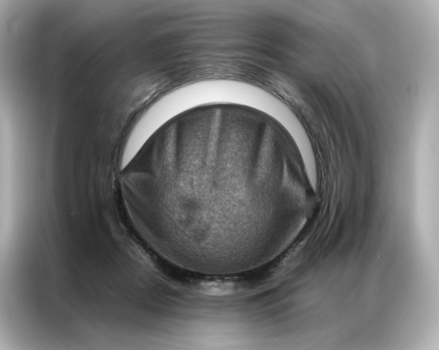 X0000086940362200704301142