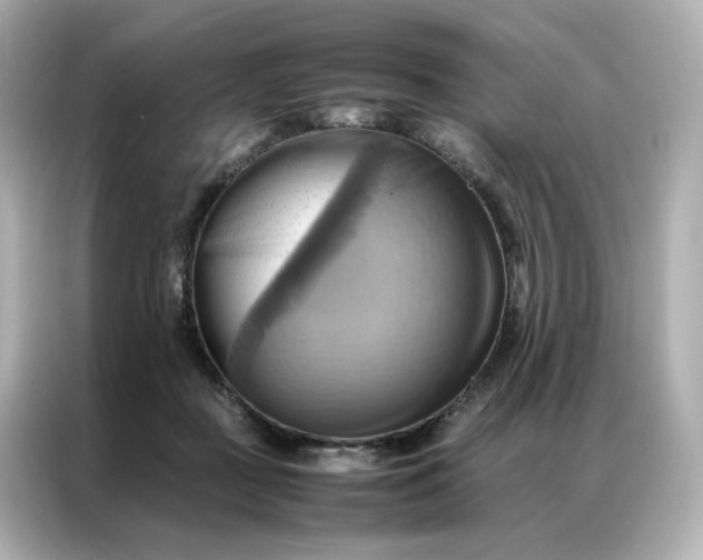 X0000086940363200704301142