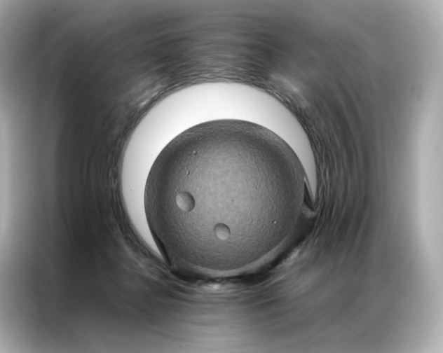 X0000086940364200704301142