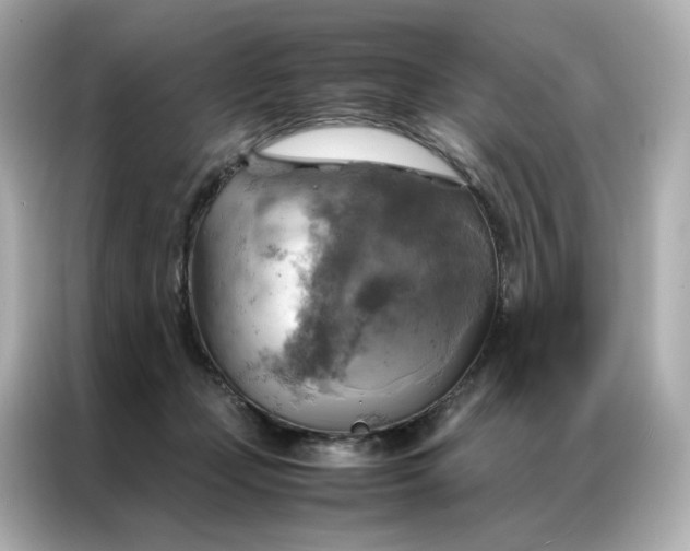 X0000086940365200704301142