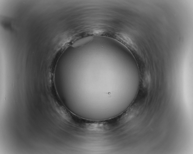 X0000086940366200704301142