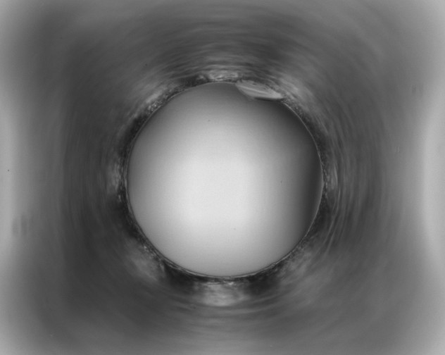 X0000086940367200704301142