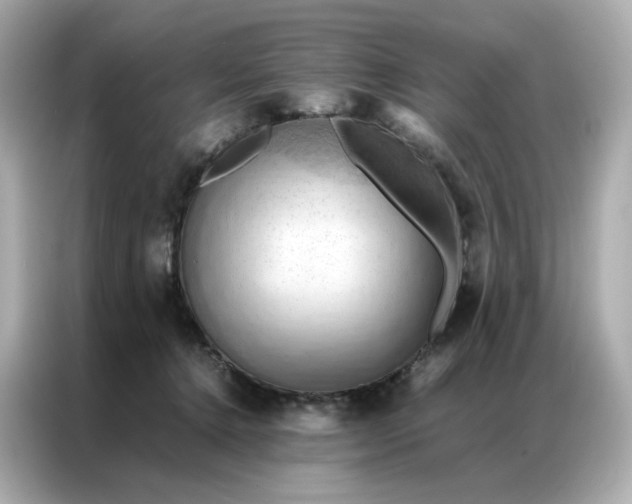 X0000086940368200704301142