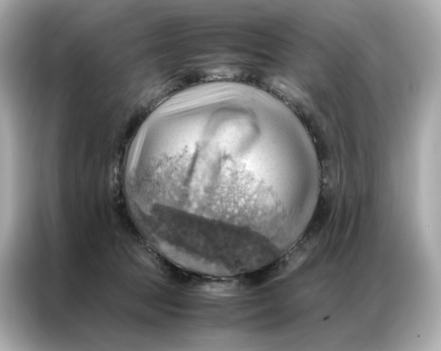 X0000086940369200704301142