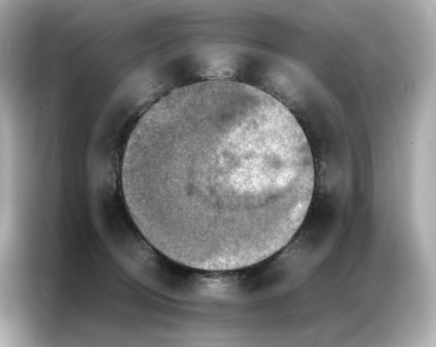 X0000086940370200704301142