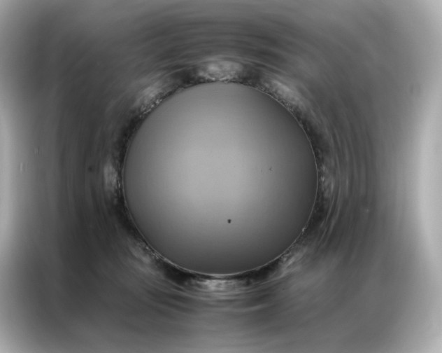 X0000086940371200704301142