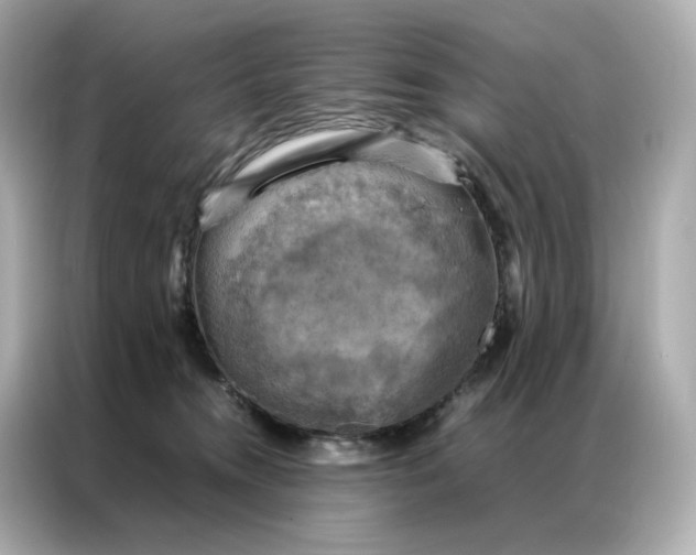 X0000086940372200704301142