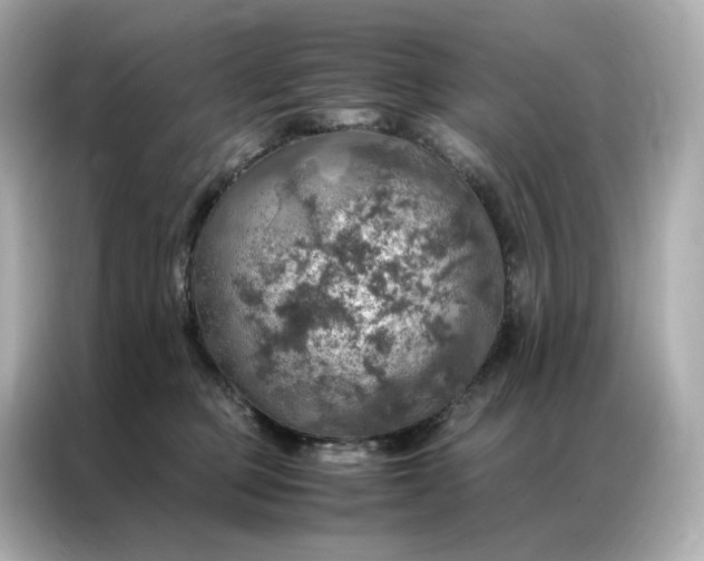 X0000086940373200704301142