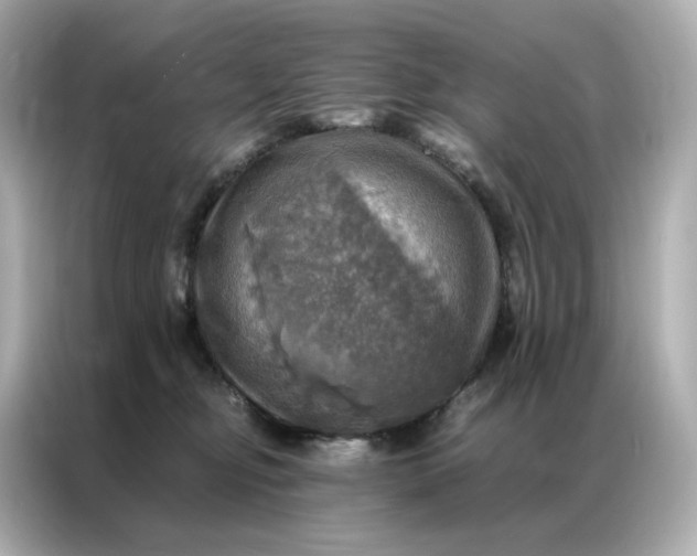 X0000086940374200704301142