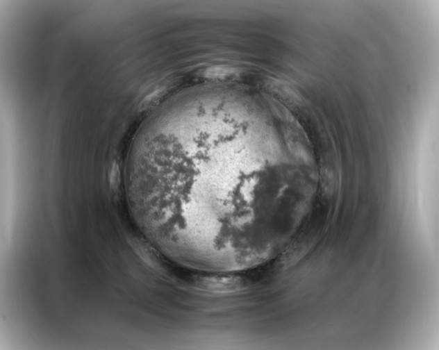 X0000086940375200704301142