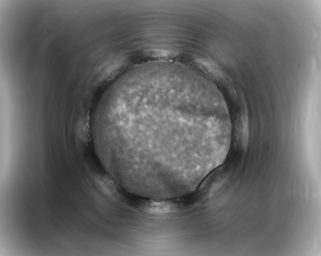 X0000086940376200704301142