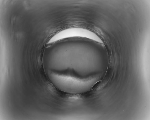 X0000086940377200704301142