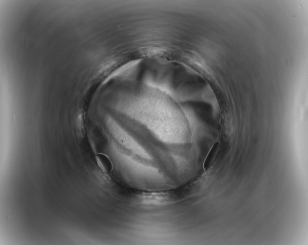 X0000086940378200704301142