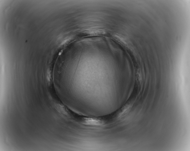 X0000086940380200704301142