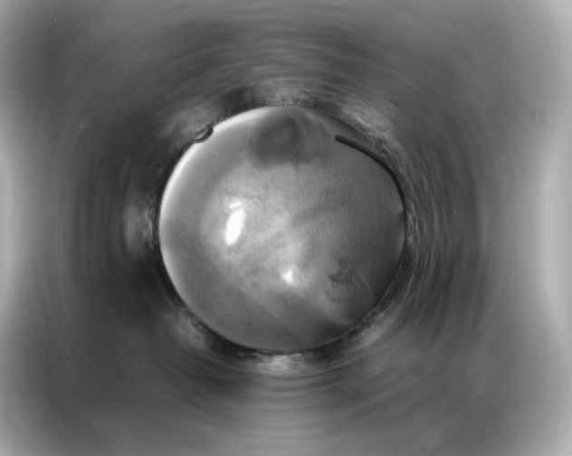 X0000086940382200704301142