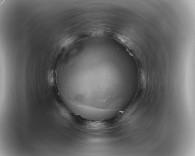 X0000086940383200704301142