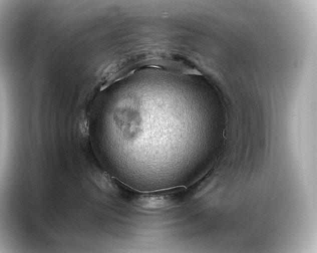 X0000086940384200704301142