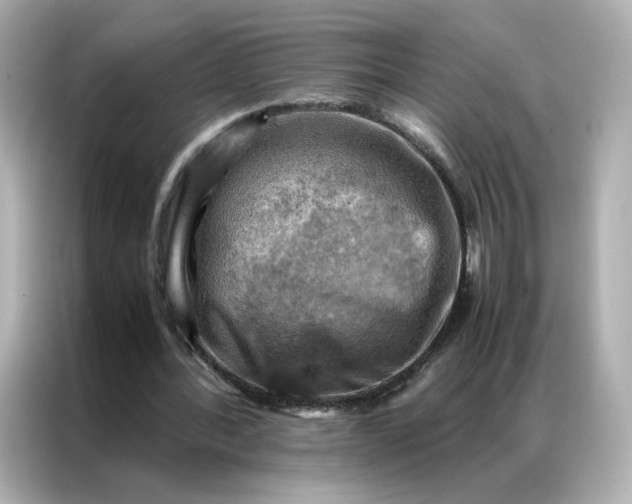 X0000086940388200704301141