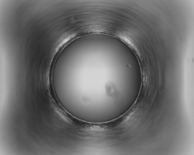 X0000086940390200704301141