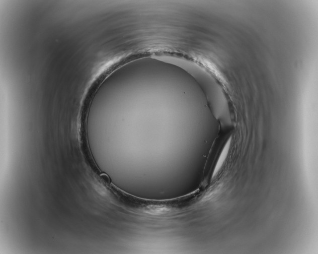 X0000086940391200704301141