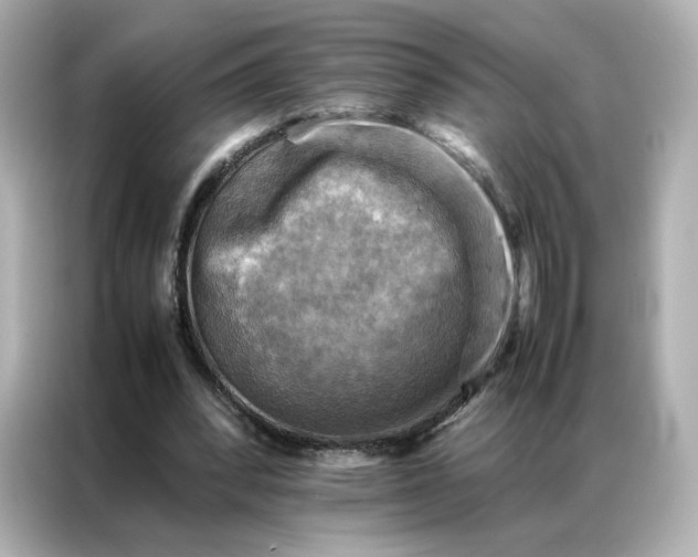 X0000086940392200704301141