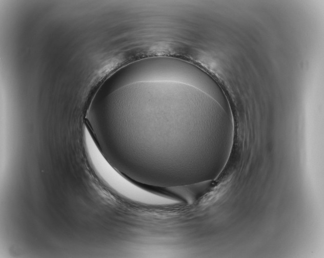 X0000086940393200704301141