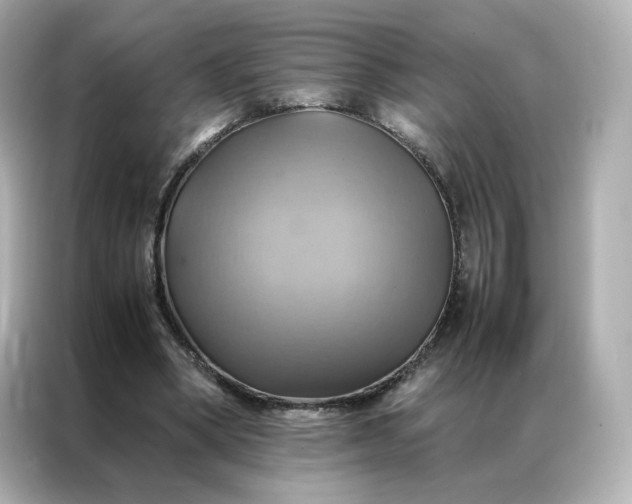 X0000086940394200704301141