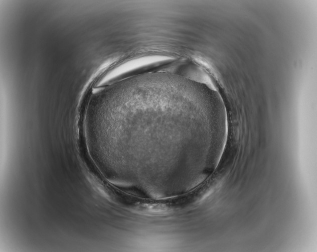 X0000086940395200704301141