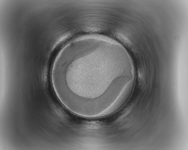 X0000086940396200704301141