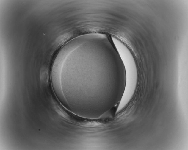 X0000086940397200704301141