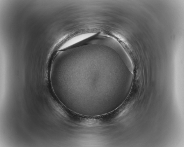 X0000086940399200704301141