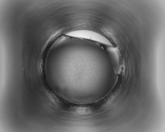 X0000086940400200704301141