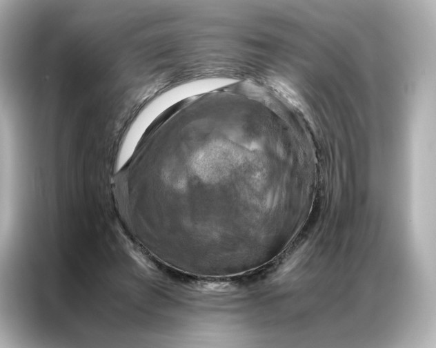 X0000086940401200704301141