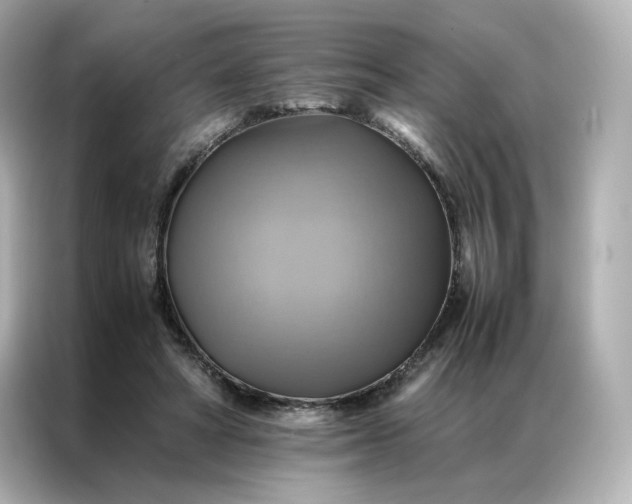 X0000086940402200704301141