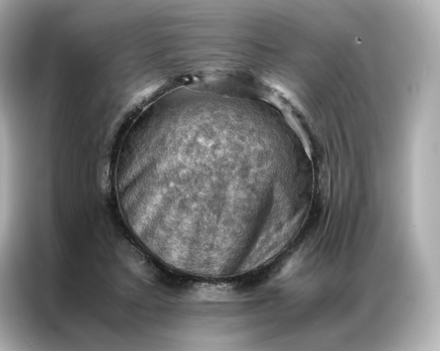 X0000086940403200704301141