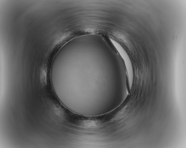 X0000086940404200704301141