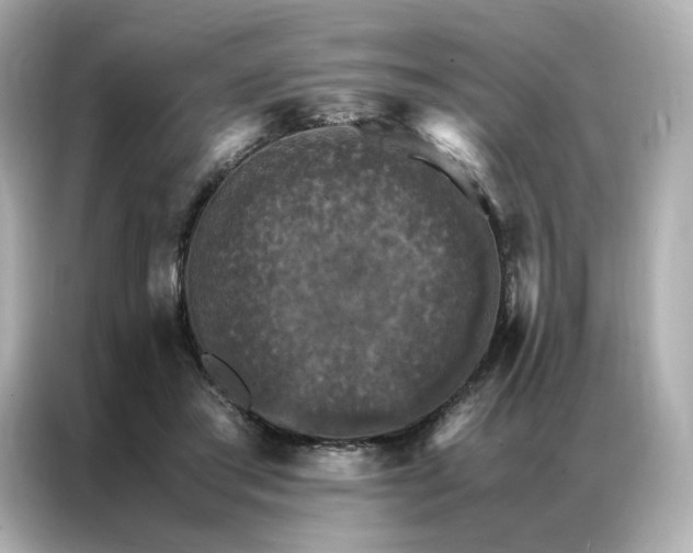 X0000086940405200704301141