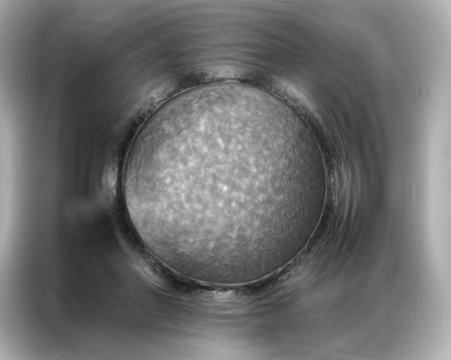 X0000086940406200704301141