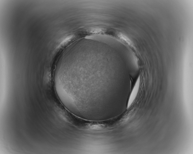 X0000086940407200704301141