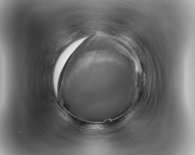 X0000086940409200704301141