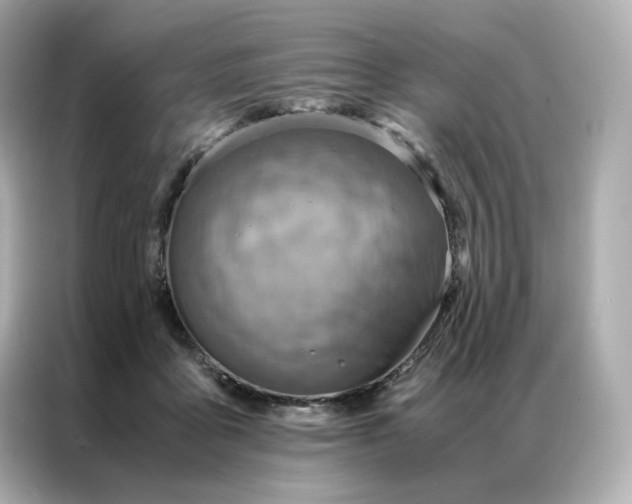 X0000086940411200704301141