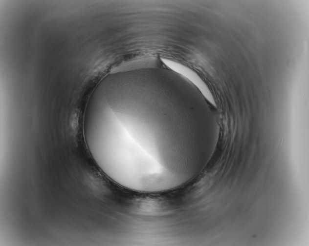 X0000086940412200704301141