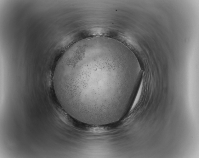 X0000086940413200704301141