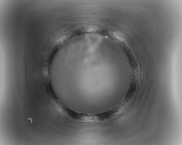 X0000086940415200704301141